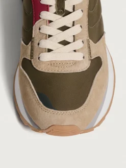 SARDIS